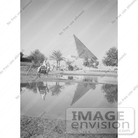 #6542 Man on Camel Near Pool of Water, Pyramids in the Background by JVPD