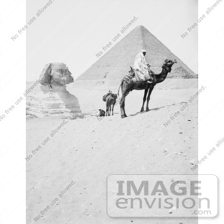 #6545 Men With Camels Near the Great Sphinx and Pyramids by JVPD
