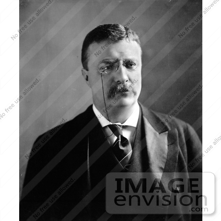 #7861 Picture of President Theodore Roosevelt by JVPD