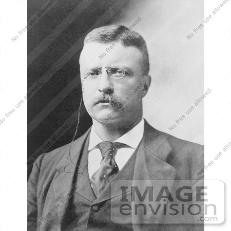 #7891 Picture of President Theodore Roosevelt by JVPD