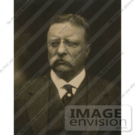 #7944 Picture of President Roosevelt by JVPD