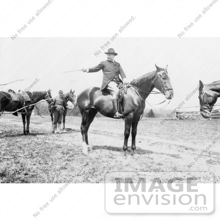 #7971 Picture of Roosevelt on a Horse by JVPD