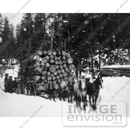 #9532 Picture of Horses Pulling a Sleigh of Logs by JVPD