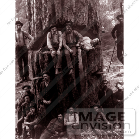 #9540 Picture of Posing Lumberjacks by JVPD