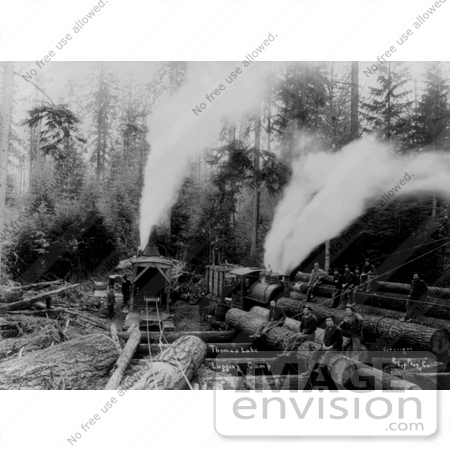 #9553 Picture of Thomas Lake Logging Camp by JVPD