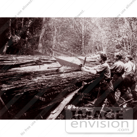 #9566 Picture of Men Sawing a Log by JVPD