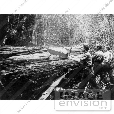 #9575 Picture of Men Sawing a Log by JVPD