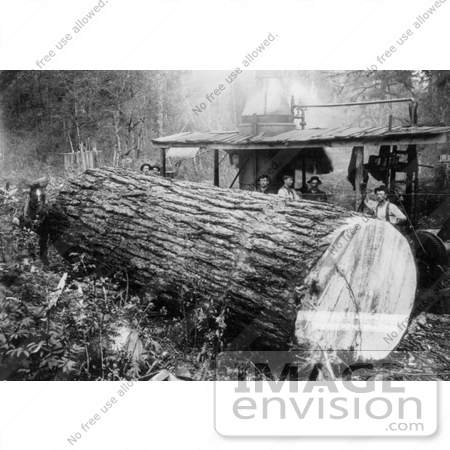 #9579 Picture of a Fir Log at Yarding Donkey by JVPD