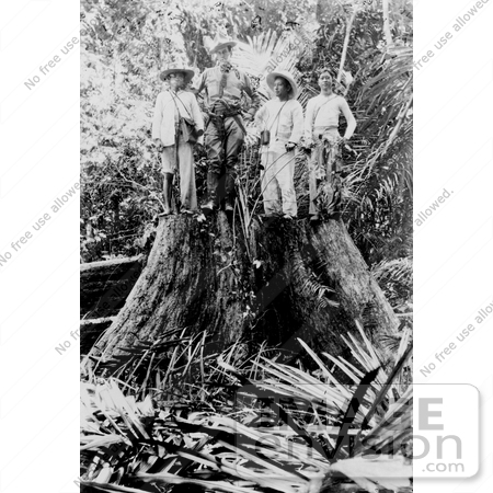 #9622 Picture of Men on a Stump by JVPD