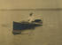 #7942 Picture of Theodore Roosevelt Rowing a Boat by JVPD