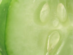 Free Picture of Cucumber Slice