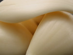 Free Picture of Raw Garlic Cloves