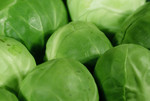 Free Picture of Fresh Brussels Sprouts