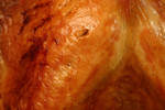 Free Picture of Thanksgiving Roasted Turkey