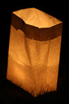 Free Picture of Candle Lit in a Bag During a Candlelight Vigil