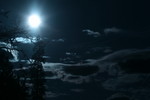 Free Picture of Full Moon with Trees and Clouds