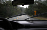 Free Picture of Driving in Rainy Weather