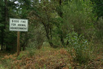 Free Picture of Pet Abandonment Sign in a Forest