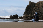 Free Picture of Photographer Photographing the Oregon Coast