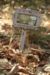 Free Picture of Pink Grave Tag