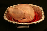 Free Picture of Thawed and Fresh Thanksgiving Turkey in a Pan