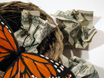 Free Picture of Butterfly in a Nest With Crumpled Cash