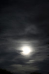 Free Picture of Moon in the Night Sky