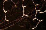 Free Picture of Christmas Lights and Snow Covered Tree Branches at Night
