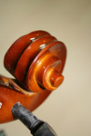 Free Picture of Tuning Pegs and Scroll on a Viola