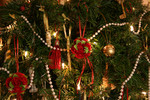 Free Picture of Decorated Christmas Tree
