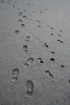 Free Picture of Human and Dog Paw Prints in the Mud