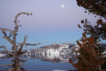Free Picture of Trees Framing a Full Moon Over Crater Lake