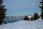 Free Picture of Evergreens Framing Crater Lake Under a Full Moon