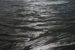 Free Picture of Sunlight on Wet Sands