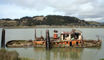 Free Picture of The Mary D Hume, Port of Gold Beach, Oregon