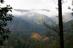 Free Picture of Autumn Trees on Hills, Jacksonville, Oregon