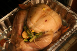 Free Picture of Turkey Ready to Cook