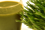 Free Picture of Wheatgrass and Juice