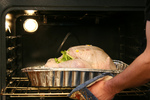 Free Picture of Putting Turkey in the Oven