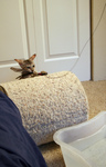 Free Picture of F4 Savannah Kitten Catching a Feather Toy