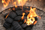 Free Picture of Charcoal Briquettes Combusting Into Flames