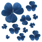 Free Picture of Blue Clovers