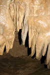 Free Picture of Oregon Caves