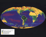 Free Picture of Global Vegetation map 6/27/1979