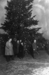 Free Picture of President Coolidge Illuminating the Community Christmas Tree, 19