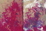 Free Picture of Drought and Burn Scars in Southeastern Australia