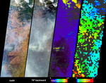 Free Picture of Fire and Deforestation near the Xingu River