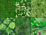 Free Picture of Agricultural Patterns