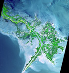 Free Picture of Mississippi River Delta