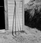 Free Picture of Hay Forks